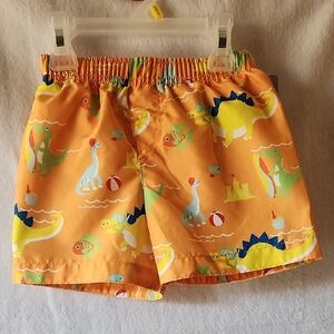 Vibrant Dinosaur Print BOYS Bathing Suit Shorts